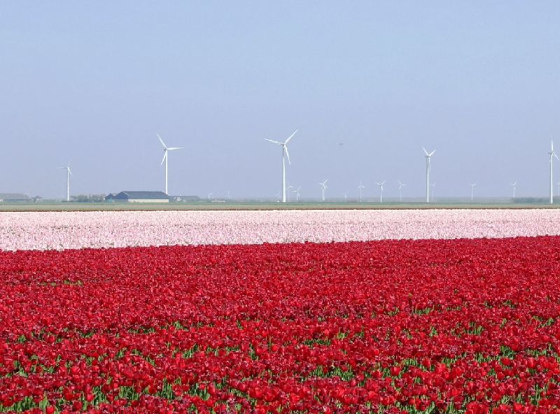 Powered bij Color.JPG